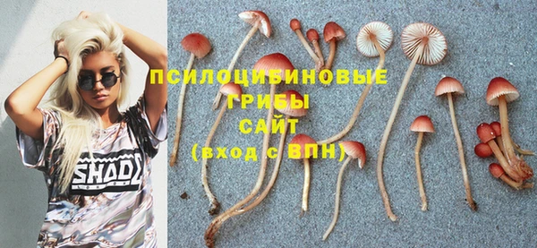 трава Верея