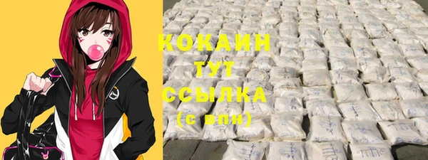 2c-b Белая Холуница