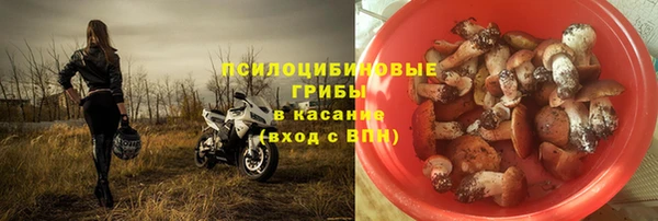 не бодяженный Аша