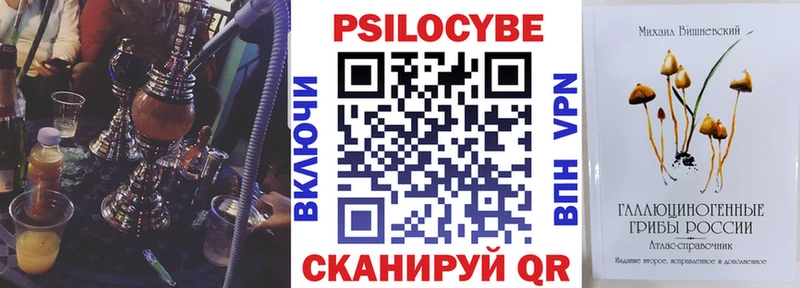 mega как зайти  Вичуга  Псилоцибиновые грибы прущие грибы  как найти наркотики 