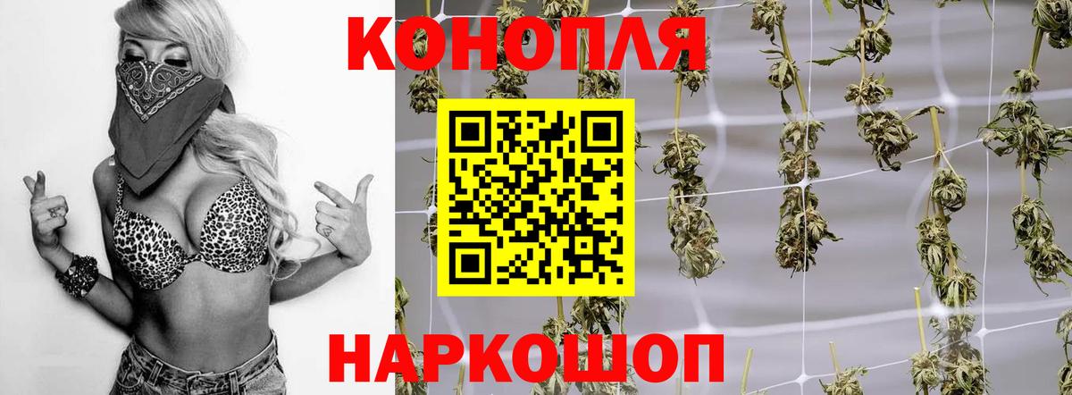 Конопля OG Kush Вичуга